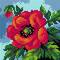 Orchidea Needlepoint Canvas For Halfstitch Without Yarn Poppy - Printed Tapestry Canvas